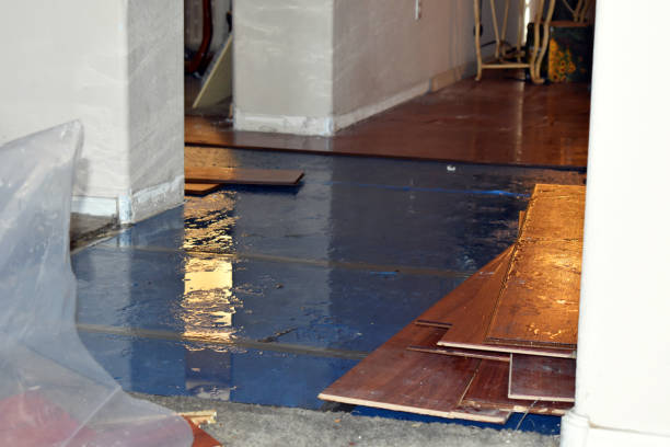 Professional Burst Pipe Water Damage technician working in Millersburg, OR